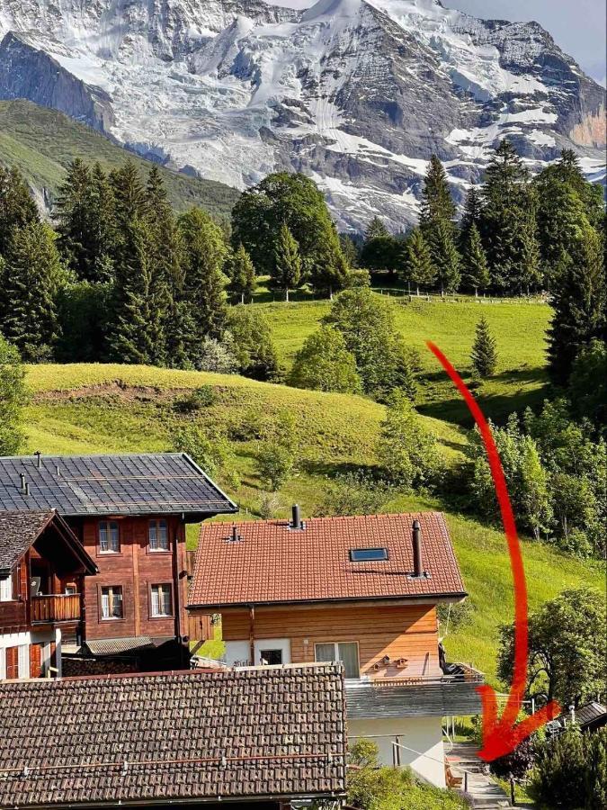 Chalet Viola Apartment Wengen Bagian luar foto