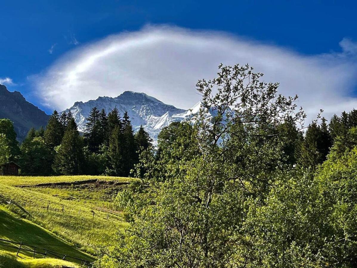 Chalet Viola Wengen Bagian luar foto