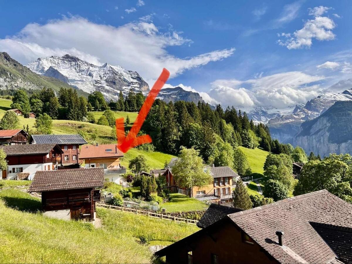 Chalet Viola Apartment Wengen Bagian luar foto