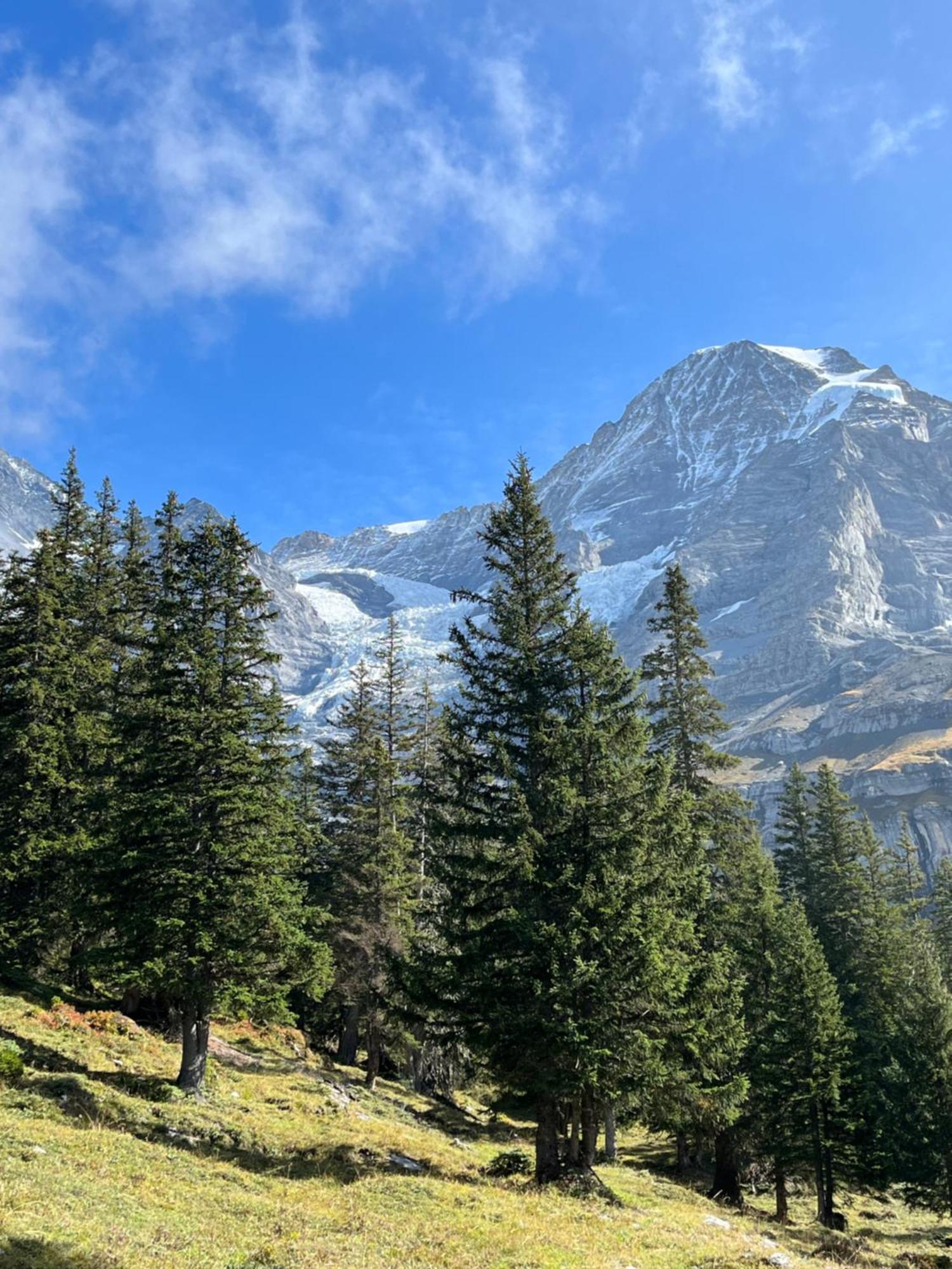 Chalet Viola Wengen Bagian luar foto