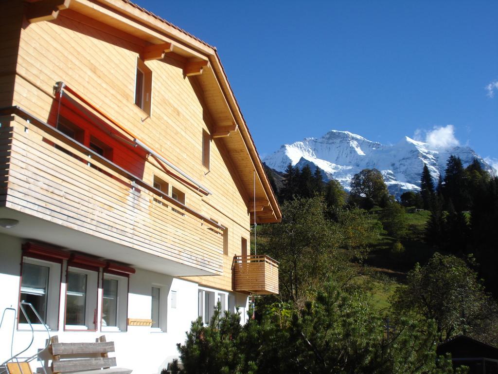 Chalet Viola Apartment Wengen Bagian luar foto