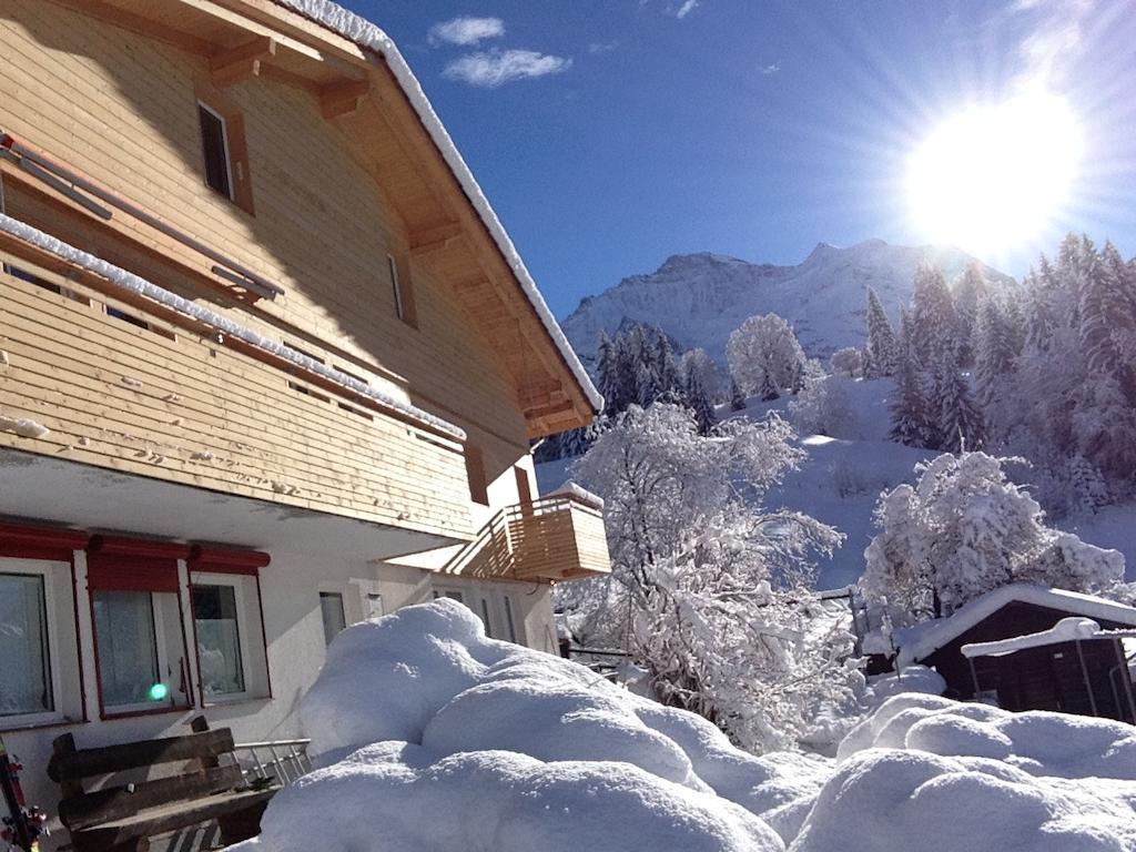 Chalet Viola Apartment Wengen Bagian luar foto