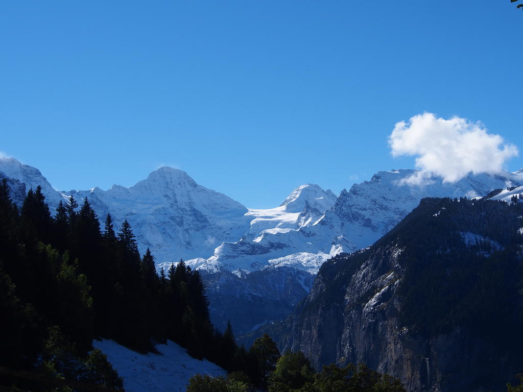 Chalet Viola Apartment Wengen Bagian luar foto